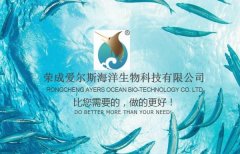 榮成愛*斯海洋生物科技有限公司網站建設新一代自助建站、智能建站系統