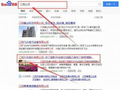 江西天*香料有限公司網站建設可視化建站作品欣賞