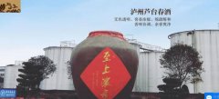 瀘州蘆*春酒業(yè)有限公司網(wǎng)站建設(shè)基本流程