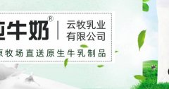 紅河云*乳業有限公司綠色系網站建設給你設計靈感